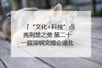 “文化+科技”点亮荆楚之美 第二十一届深圳文博会湖北馆抢“鲜”看