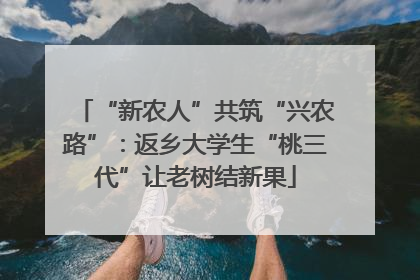 “新农人”共筑“兴农路”：返乡大学生“桃三代”让老树结新果