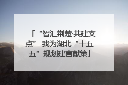 “智汇荆楚·共建支点” 我为湖北“十五五”规划建言献策