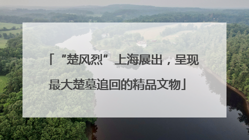 “楚风烈”上海展出，呈现最大楚墓追回的精品文物