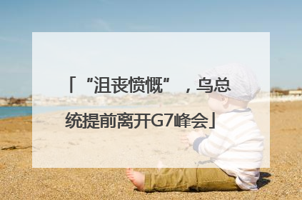 “沮丧愤慨”，乌总统提前离开G7峰会