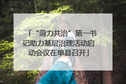 “菏力共治”第一书记助力基层治理活动启动会议在单县召开