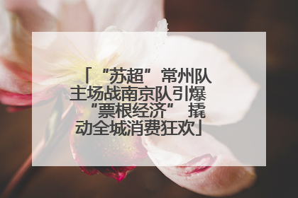 “苏超”常州队主场战南京队引爆“票根经济” 撬动全城消费狂欢