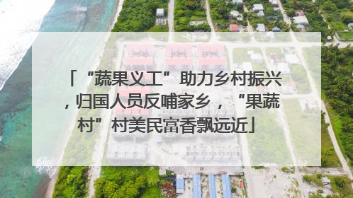 “蔬果义工”助力乡村振兴，归国人员反哺家乡，“果蔬村”村美民富香飘远近
