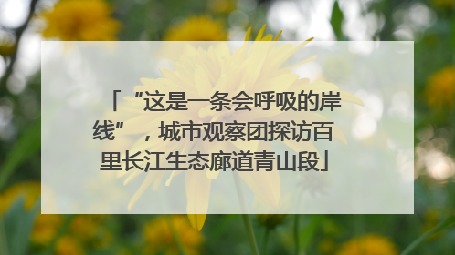 “这是一条会呼吸的岸线”，城市观察团探访百里长江生态廊道青山段