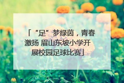 “足”梦绿茵，青春激扬 眉山东坡小学开展校园足球比赛