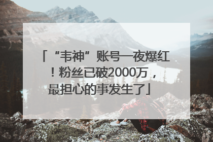 “韦神”账号一夜爆红！粉丝已破2000万，最担心的事发生了