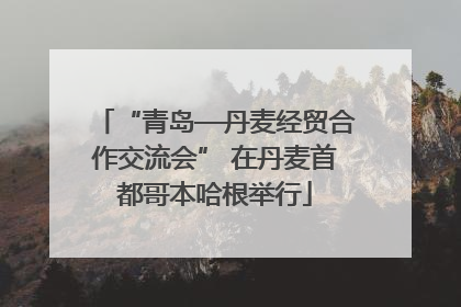 “青岛—丹麦经贸合作交流会” 在丹麦首都哥本哈根举行