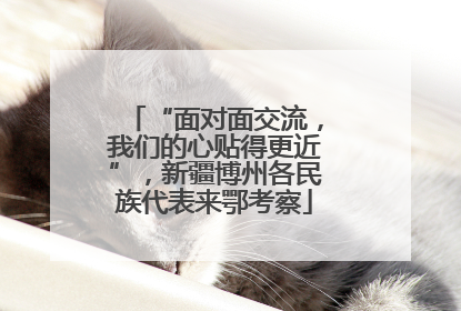“面对面交流，我们的心贴得更近”，新疆博州各民族代表来鄂考察