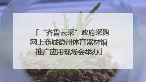 “齐鲁云采”政府采购网上商城德州体育器材馆推广应用现场会举办