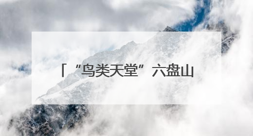 “鸟类天堂”六盘山再添新成员 鸟类记录增加至336种