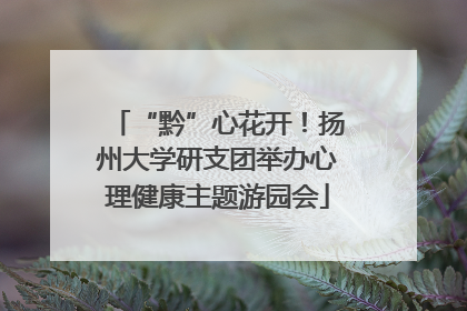 “黔”心花开！扬州大学研支团举办心理健康主题游园会