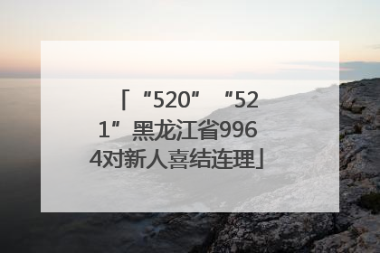 “520”“521”黑龙江省9964对新人喜结连理