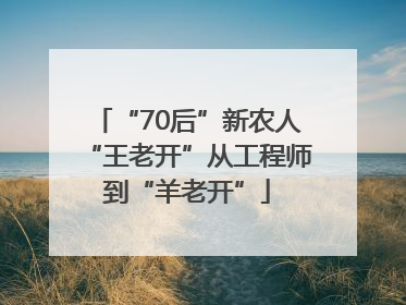 “70后”新农人“王老开”从工程师到“羊老开”