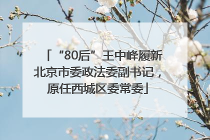 “80后”王中峰履新北京市委政法委副书记，原任西城区委常委
