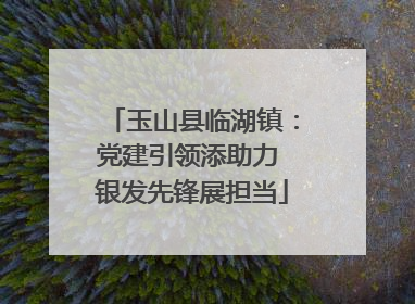 玉山县临湖镇：党建引领添助力 银发先锋展担当