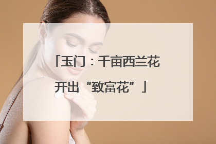 玉门：千亩西兰花开出“致富花”