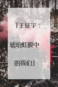 王征宇：琥珀虹膜中的我们