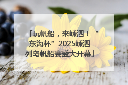 玩帆船，来嵊泗！“东海杯”2025嵊泗列岛帆船赛盛大开幕