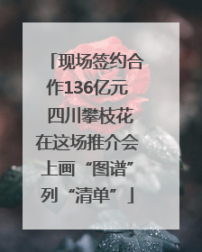 现场签约合作136亿元 四川攀枝花在这场推介会上画“图谱”列“清单”