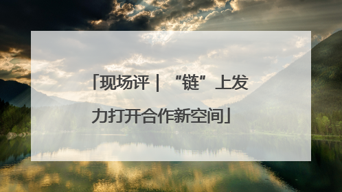 现场评｜“链”上发力打开合作新空间
