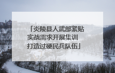炎陵县人武部紧贴实战需求开展集训 打造过硬民兵队伍
