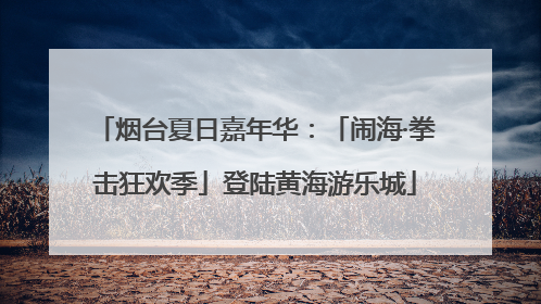 烟台夏日嘉年华：「闹海·拳击狂欢季」登陆黄海游乐城
