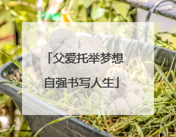 父爱托举梦想 自强书写人生