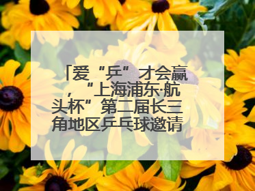 爱“乒”才会赢，“上海浦东·航头杯”第二届长三角地区乒乓球邀请赛举行