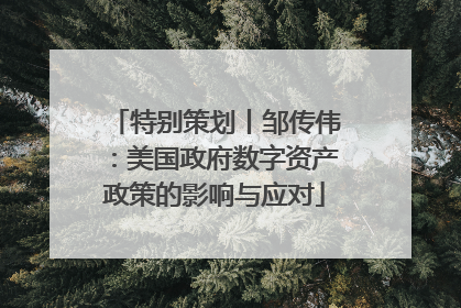 特别策划丨邹传伟：美国政府数字资产政策的影响与应对