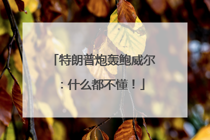 特朗普炮轰鲍威尔：什么都不懂！