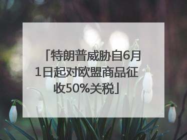 特朗普威胁自6月1日起对欧盟商品征收50%关税