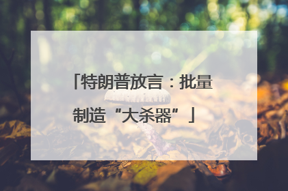 特朗普放言：批量制造“大杀器”