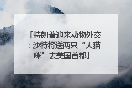 特朗普迎来动物外交：沙特将送两只“大猫咪”去美国首都