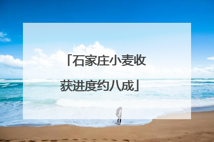 石家庄小麦收获进度约八成