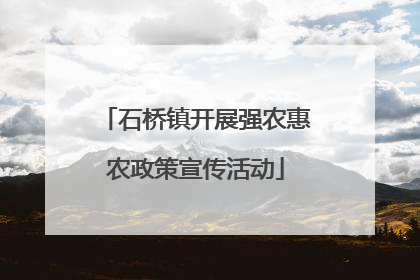 石桥镇开展强农惠农政策宣传活动