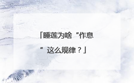 睡莲为啥“作息”这么规律？