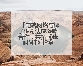 电魂网络与椰子传奇达成战略合作，共拓《我叫MT》IP全球市场