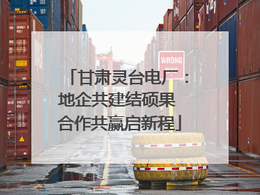 甘肃灵台电厂：地企共建结硕果 合作共赢启新程