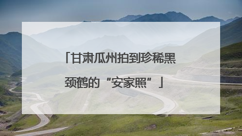 甘肃瓜州拍到珍稀黑颈鹤的“安家照”