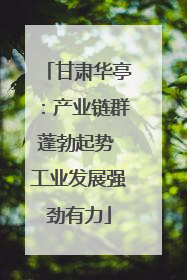 甘肃华亭：产业链群蓬勃起势 工业发展强劲有力