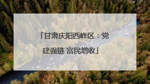 甘肃庆阳西峰区：党建强链 富民增收