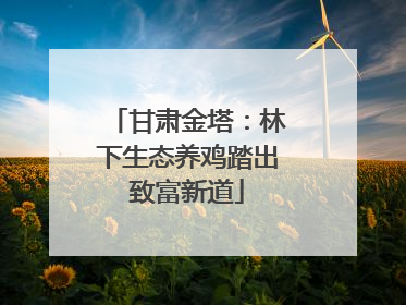 甘肃金塔：林下生态养鸡踏出致富新道