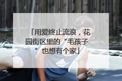 用爱终止流浪，花园街区里的“毛孩子”也想有个家