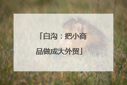 白沟：把小商品做成大外贸