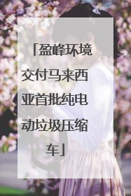 盈峰环境交付马来西亚首批纯电动垃圾压缩车