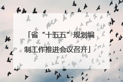 省“十五五”规划编制工作推进会议召开