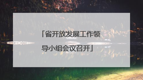 省开放发展工作领导小组会议召开