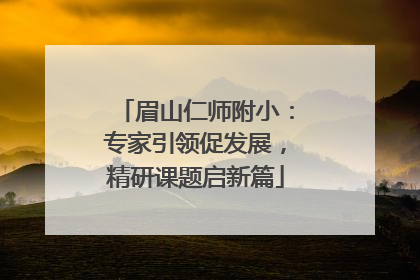 眉山仁师附小：专家引领促发展，精研课题启新篇
