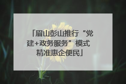 眉山彭山推行“党建+政务服务”模式 精准惠企便民